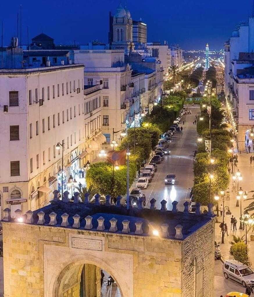 Hotel Ibn Khaldoun Tunus Dış mekan fotoğraf